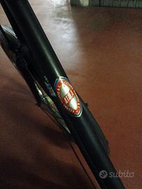 bici bacchetta 