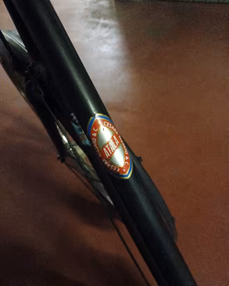 bici bacchetta 