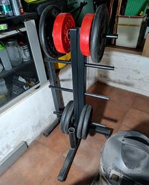 pesi palestra Gym dischi ghisa
