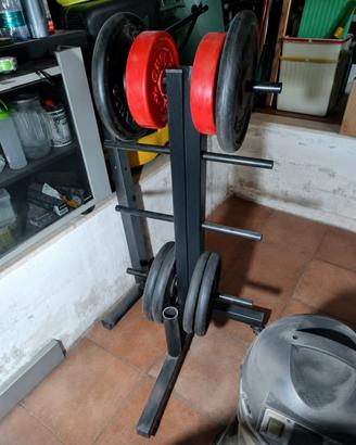 pesi palestra Gym dischi ghisa