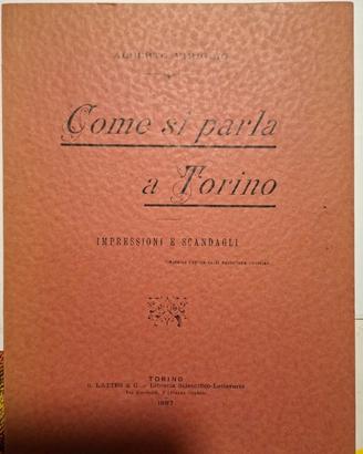 Come si parla a Torino Impressioni e Scandagli