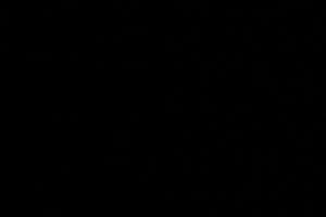 Casa o appartamento per lungo periodo