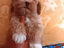 Immagine 19
