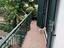 Immagine 12