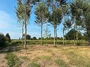 terreno-agricolo-di-di-6000-mq