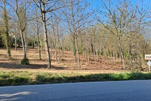 Piccolo appezzamento sdi terreno