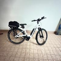 Bici City Living Fantik