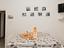Immagine 11