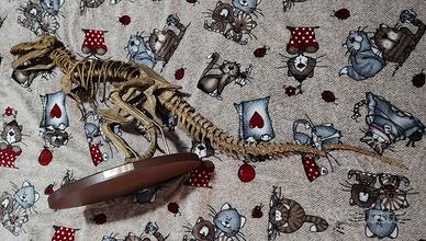 Tyrannosaurus Rex Deagostini 1:10 - LEGGI INFO