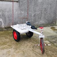 carrello triciclo artigianale  per scherzi sposi
