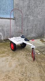 carrello triciclo artigianale  per scherzi sposi