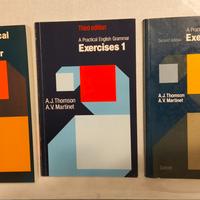 Inglese Grammatica Esercizi ari Dizionario 