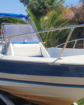 Bayliner trophy 2103