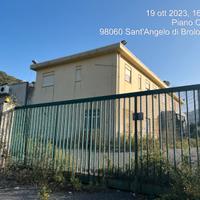 LG 4/2023 Trib Patti