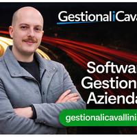 Sviluppatore Software Gestionali Aziendali AI