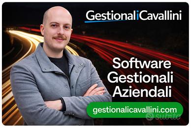Sviluppatore Software Gestionali Aziendali AI