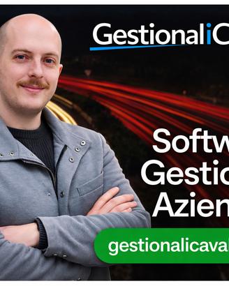 Sviluppatore Software Gestionali Aziendali AI