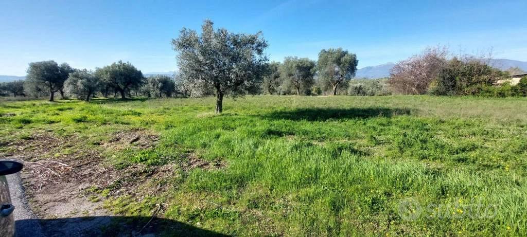 Immobile in asta di 6583 m² a Nereto - Vista 3