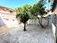 Immagine 24