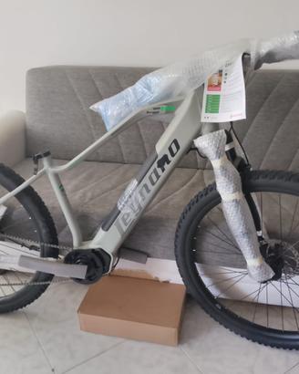 Bici elettrica