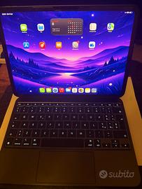 IPAD M5 PRO 256GB