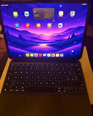 IPAD M5 PRO 256GB