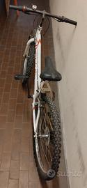 Mountain bike Monviso.