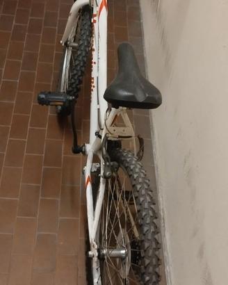 Mountain bike Monviso.