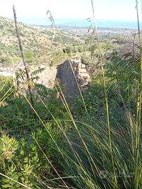 Terreno agricolo