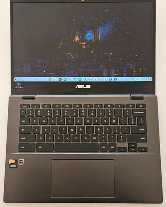 Notebook Asus Chromebook CM1402CM2