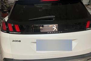 Pegeout 3008 crosway