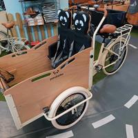 Cargobike Italiana mod.Classic