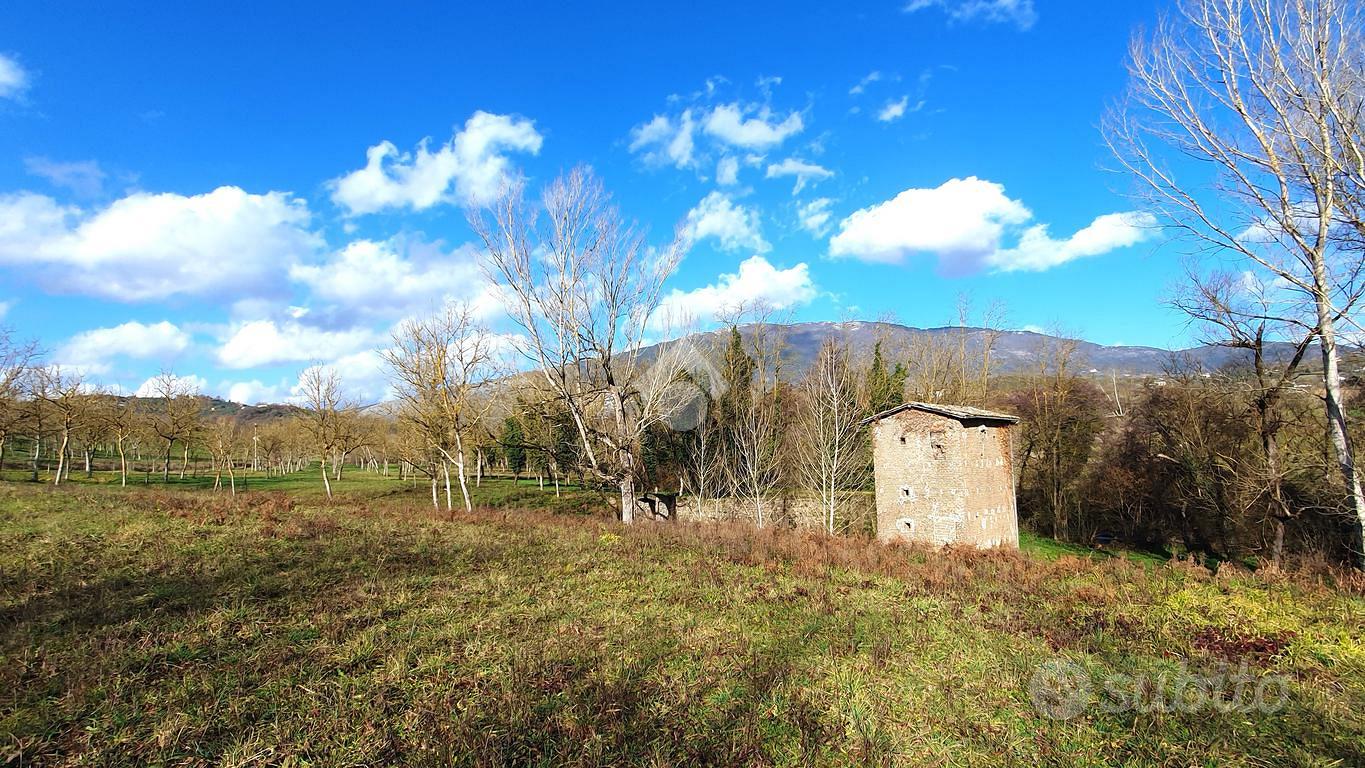 Terreno agricolo con casale a paliano - Vista 5