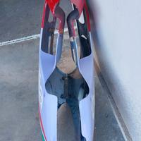 carena Aprilia sintesi AF1