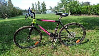 MTB Bicicletta perfetta 