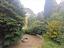 Immagine 8
