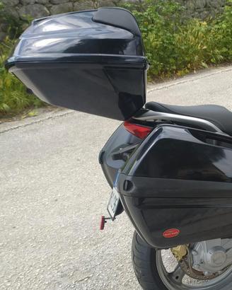 BAULE ORIGINALE MOTO GUZZI PER BREVA E NORGE