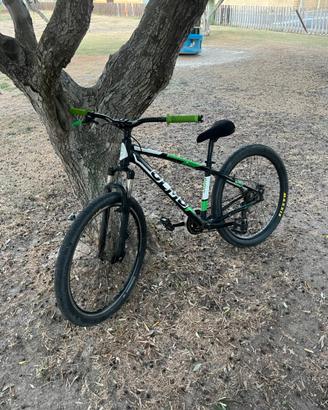 bici olmo
