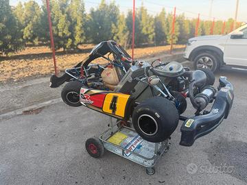 kart KZ Telaio PCR motore TM k8 