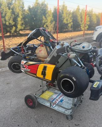 kart KZ Telaio PCR motore TM k8 