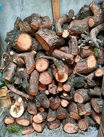 LEGNA DA ARDERE TRONCHI E RAMI DI CONIFERE PINO DO