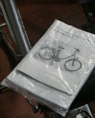 BICICLETTA ELETTRICA A PEDALATA ASSISTITA