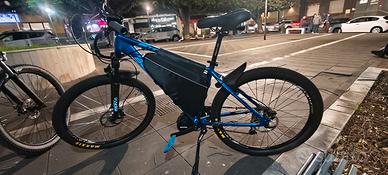 bici elettrica 