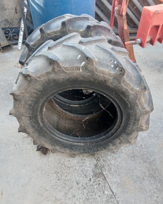 gomme trattore frutteto
