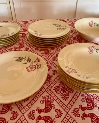 Servizio di piatti vintage in porcellana 20pz