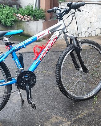  bici Mountain bike 