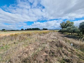 Lotto agricolo fronte strada