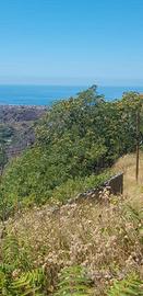 Terreno con rudere vista Praia a Mare