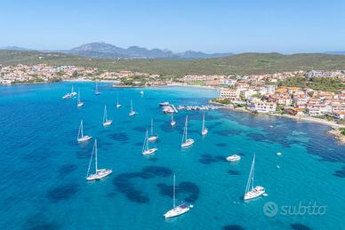 Ristorante - Olbia Rif: 1015-300_c
