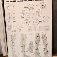 AGOPUNTURA POSTER QUADRO SCHEMA TERAPIA STUDIO MED